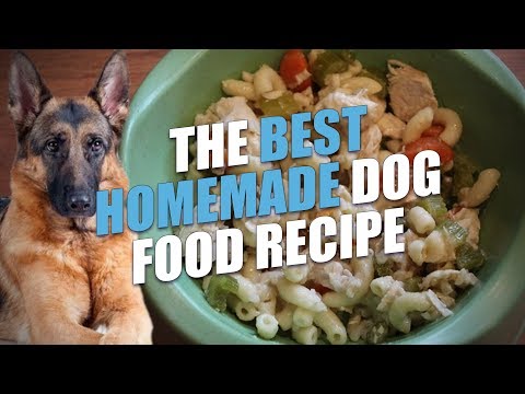 Video: DIY Dog Food de la zero