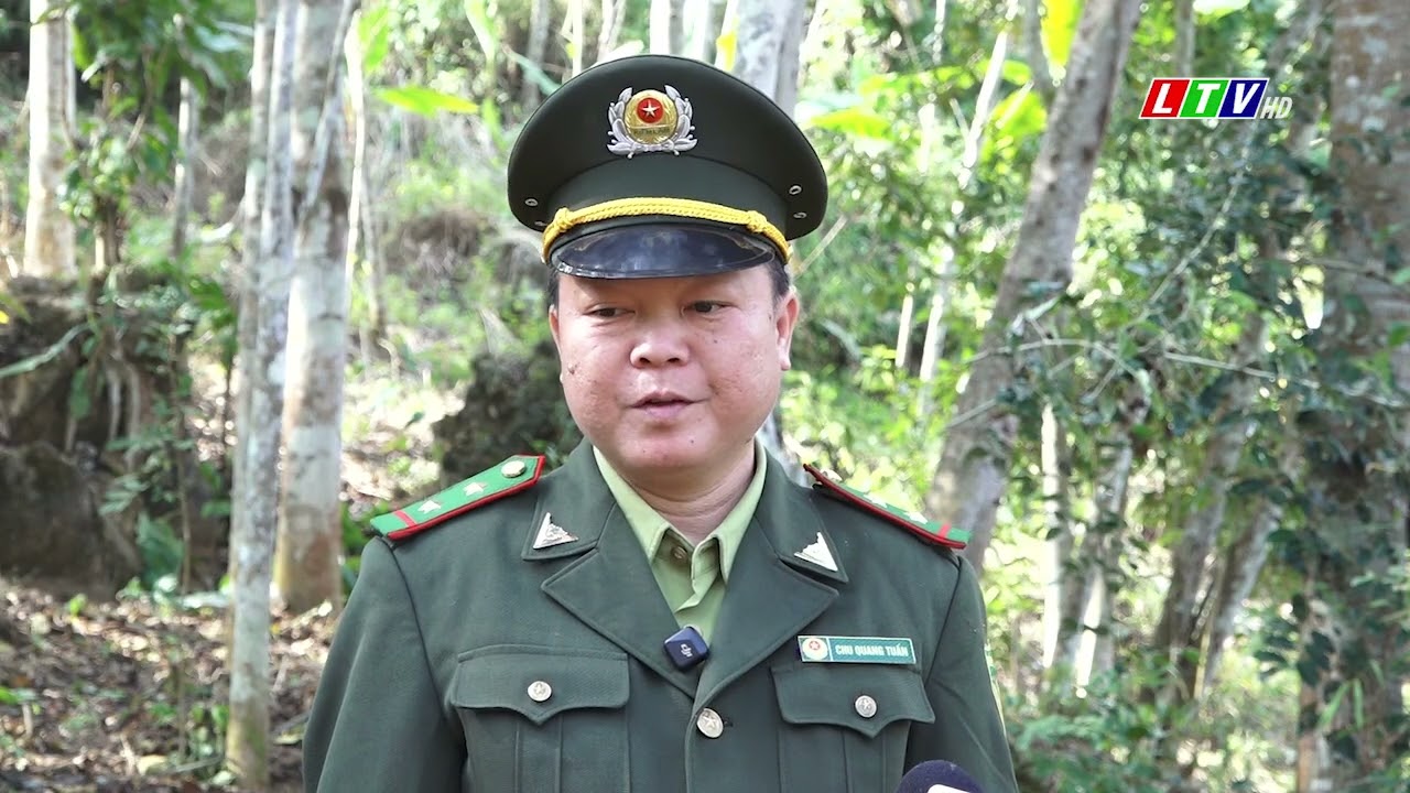 Đẩy mạnh tuyên truyền về Luật Lâm nghiệp