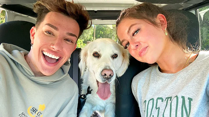 WALKING STRANGER'S DOGS WITH TARASWRLD!