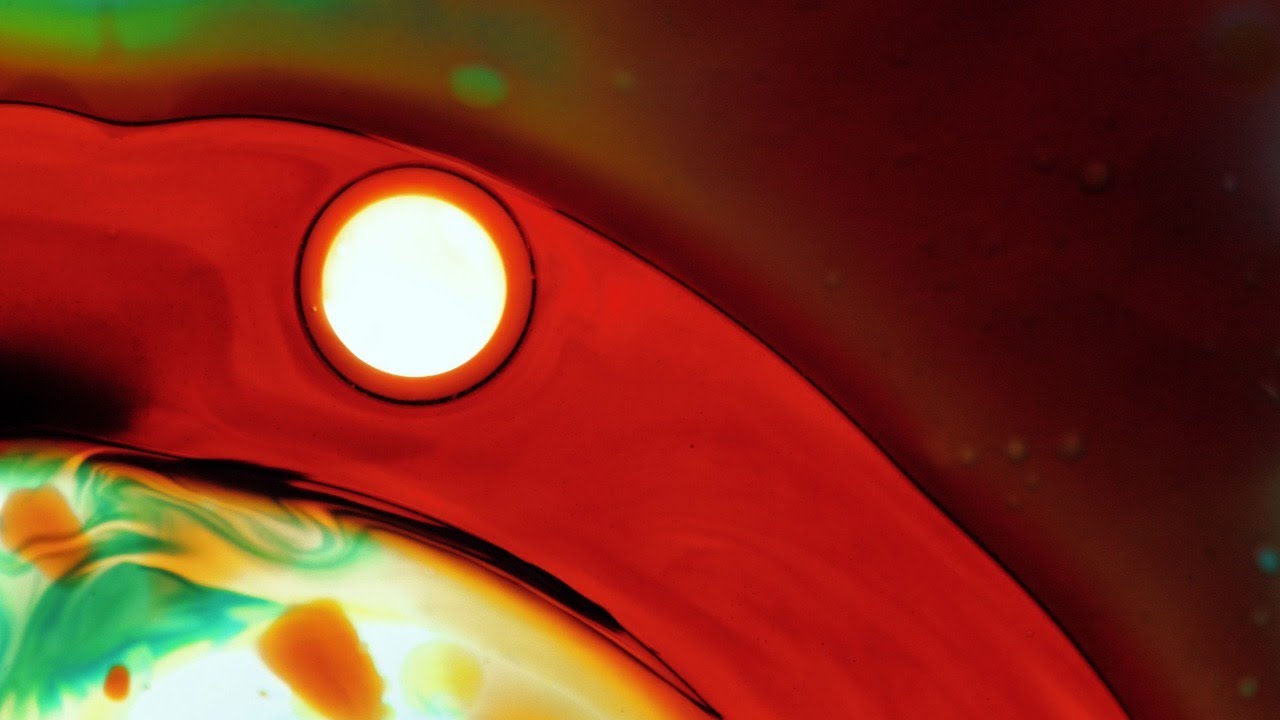 Endosymbiosis: A Live Electronic Music Performance with Liquid Light Imagery by Robert Fantinatto