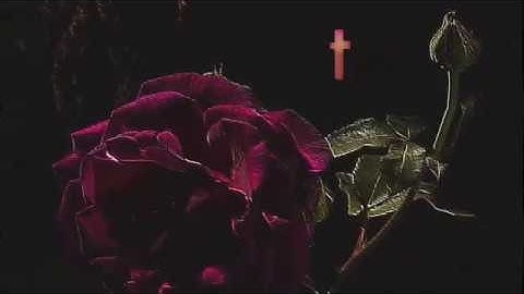 Joey Vantes - Body Bags (Unreleased Snippet)