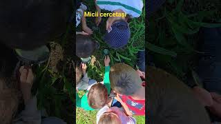Micii cercetași, Grupa Albinuțelor, Grădinița cu PN Valea Dulce, Prahova