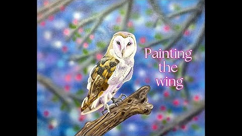 How To Paint A Barn Owl - Acrylics and Airbrush - Part 2