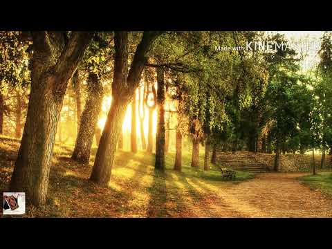 سورة الحجرات بصوت الشيخ هزاع البلوشي