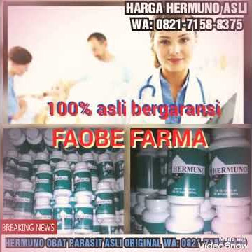 HERMUNO ASLI BPOM// HARGA HERMUNO ASLI WA: 0821-7158-8375