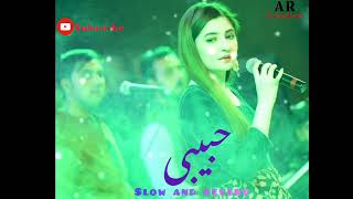 habibi song [gull panra ]#slowedreverb #100k #poshtosong #gulpanra #viralsong