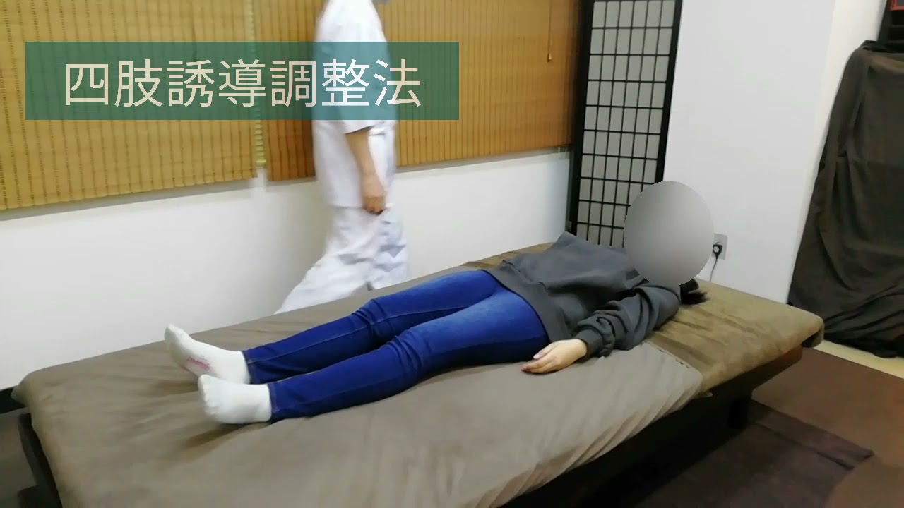 四肢誘導調整法 DVD 綱田幸雄➕特典DISC