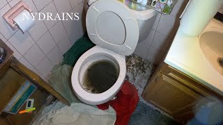 Clogged Drain #208 by NYDRAINS - The Original 49.95 Any Sewer or Drain 25,301 views 5 months ago 8 minutes, 16 seconds