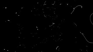 Dust and Scratches Black and white Screen Pack 4K // Free download overlay
