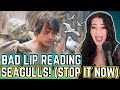 May the 4th be with you! &quot;SEAGULLS! (Stop It Now)&quot; -- A Bad Lip Reading of The Empire Strikes Back