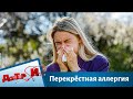 Перекрёстная аллергия | Доктор И