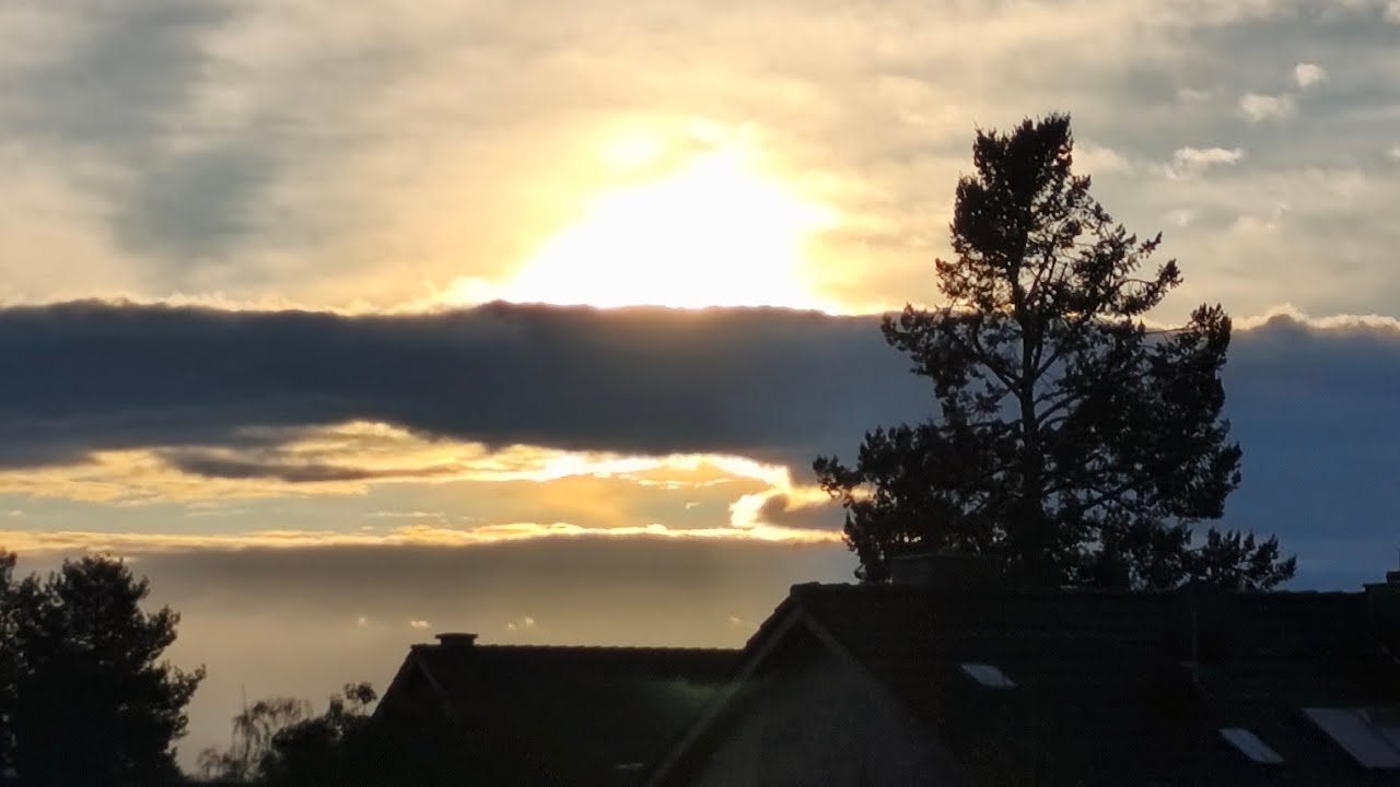 15 и 16.01.26. обычные будни, закупки, готовка и птички 