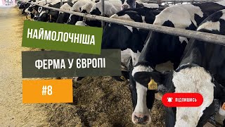 # 8 Наймолочніша ферма у Європі. Розкажемо, як впоратись з 4000 корів.