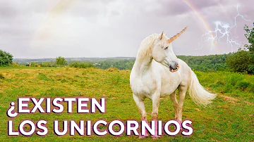 ¿Cuándo nació el unicornio?