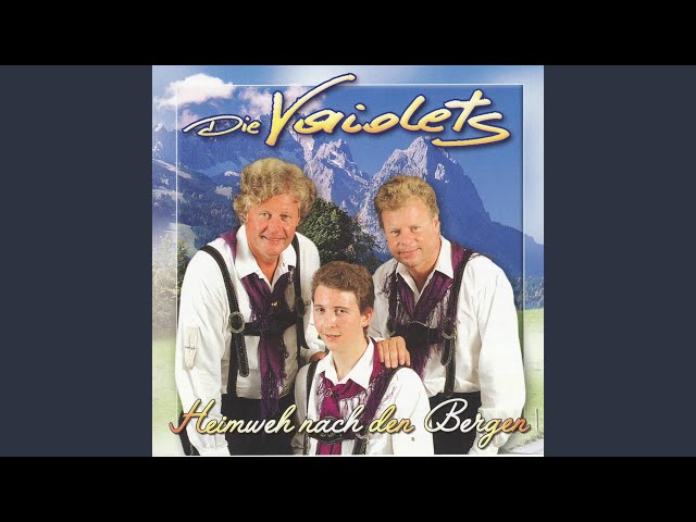 Vaiolets - Einen Himmel voller Träume