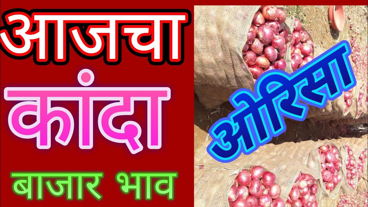 ओरिसा मधील कांदा बाजार भाव दि. 09/04/2019 रोजीचे ## Onion price in Orisa # प्याज के मंडी दाम सोयाबीन की बड़ी कैसे बनाई जाती है