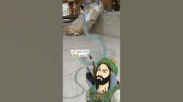 يا حسين لاتنسوا الاشتراك في القناة وتفعيل الجرس اكسبلور حسينيات متابعه لايك 