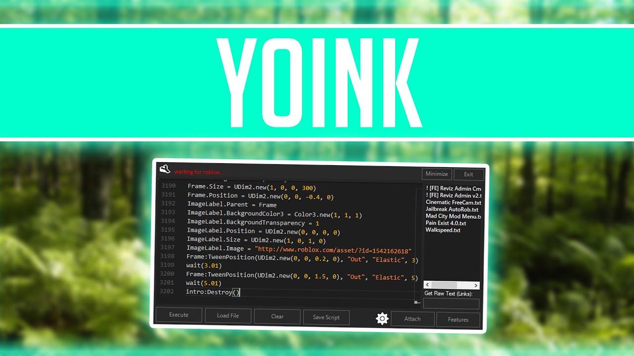 yoink roblox executor