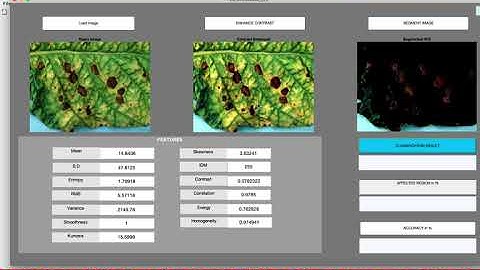 Pattern Recognition Demo