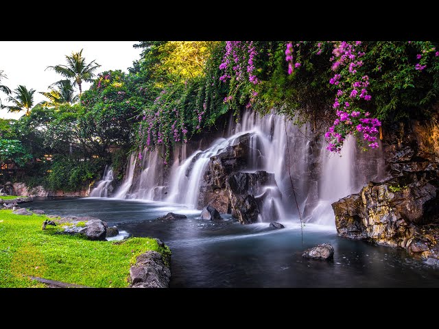 Relaxing Zen Music with Water Sounds • Peaceful Ambience for Spa, Yoga and Relaxation class=