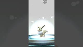 evolve my shiny eevee into sylveon #pokemon #shiny #like #