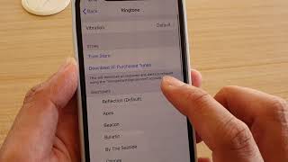 iPhone 11 Pro: How to Change Ringtone Sound Resimi