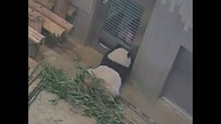 20190529 2