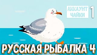 видео: Rf4 как я стал главной открытой чайкой в РР4 и удивил всех #рр4 картинка: Rf4 как я стал главной открытой чайкой в РР4 и удивил всех #рр4