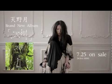 天野月「天の樹」SPOT