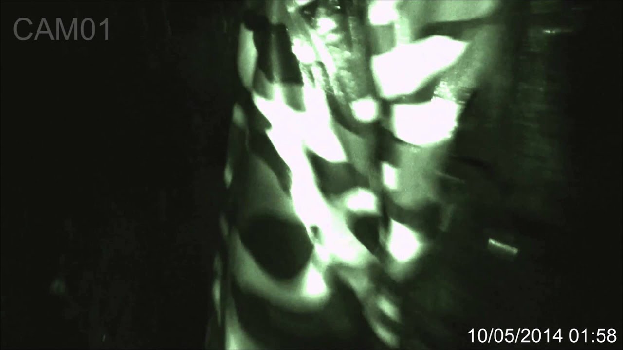 The Hatestone Forest