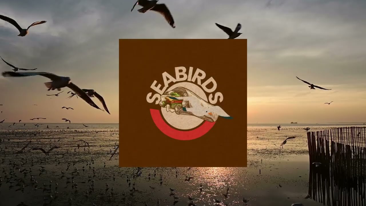Seabirds Burritos | 108.9 The Hawk Commercial