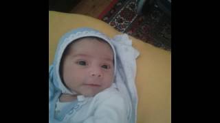 Şirin Nihad