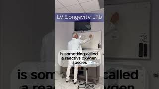 DR Brucker Explains ATP Production and Optimization Methods - LV Longevity Lab, Las Vegas