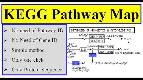 KEGG pathway map in tbtool