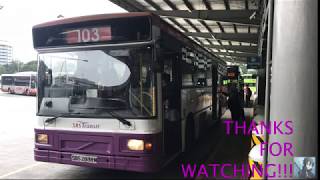 SBS2838M Volvo B10M DM3500 (SBS Transit) (Service 103) (Along Seletar Airport to Yishun area)