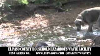 El Paso County Household Hazardous Waste - Pet Waste