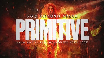 Not Enough Space - Primitive (Official Visualizer)
