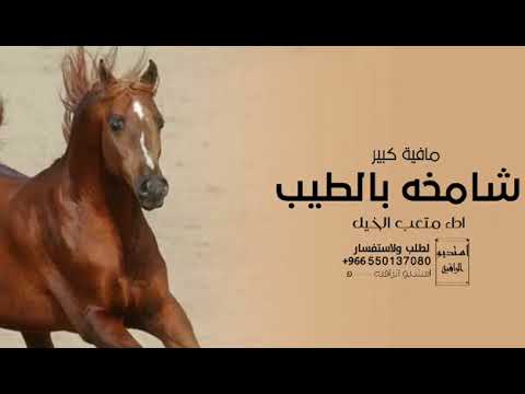 افخم شيلة2023 شامخه بالطيب مافيه كبير اداء الصوت الفخم متعب الخيل حصريا