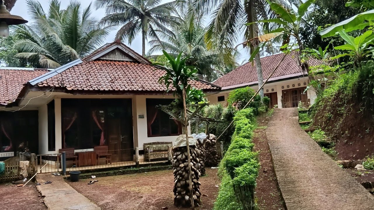 Bikin betah ‼️suasana pagi di kampung tersembunyi ..hanya suara tonggeret menani