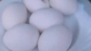 How to cook eggs like mutton brain./ انڈے کا  لزیز سالن ذائقہ ایسا جیسا مٹن برین