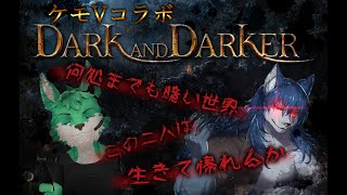 【コラボ配信】Dark and Darker #2