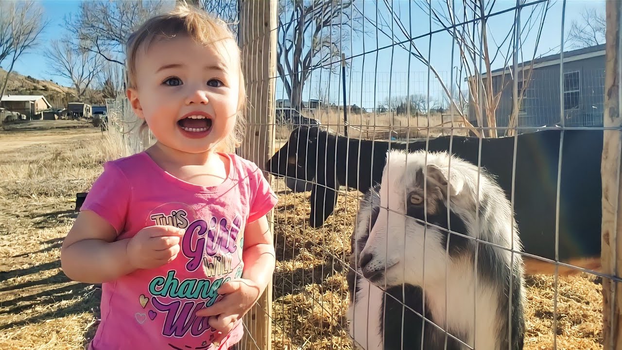Aubrey Tells Mom to STOP the Car!! Baby Girl's Adorable Reaction When She Reunites w/ Furry Friends