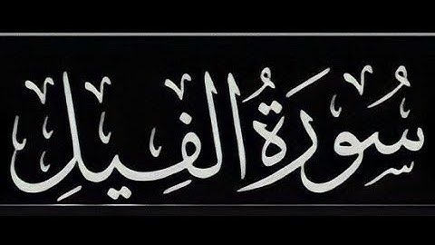سورة الفيل بصوت القارئ الصغير : عبدالله عبدالحق شرف الدين