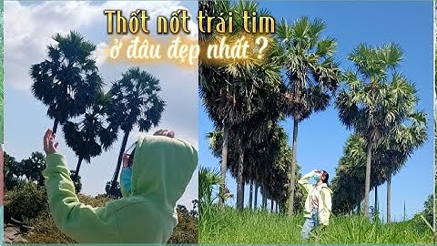 Check in những cây thốt nốt hình trái tim ở Thất Sơn, An Giang | Check in Miền Tây