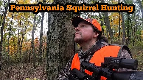 Pennsylvania Squirrel Hunting 