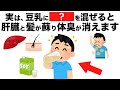 豆乳には驚きの健康効果があります！肝臓、髪、体臭、健康に効く最強の飲み方とは！？【今日から始める健康雑学】