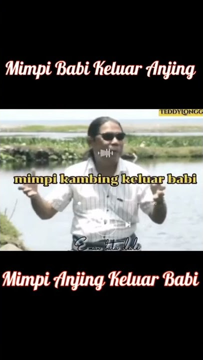 Mimpi Babi Keluar Anjing Mimpi Anjing keluar Babi