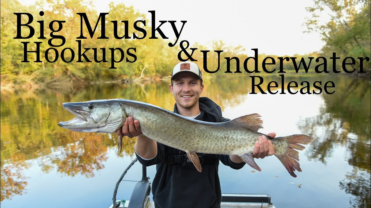 Musky 101: How to Fish for Musky in Virginia 