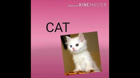 Phonics, Read three letter words,senior kg