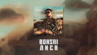 Bonsai - Лиса (ПРЕМЬЕРА)